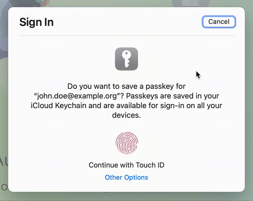 Retrying TouchID until it fails and the user is prompted for their OS password.