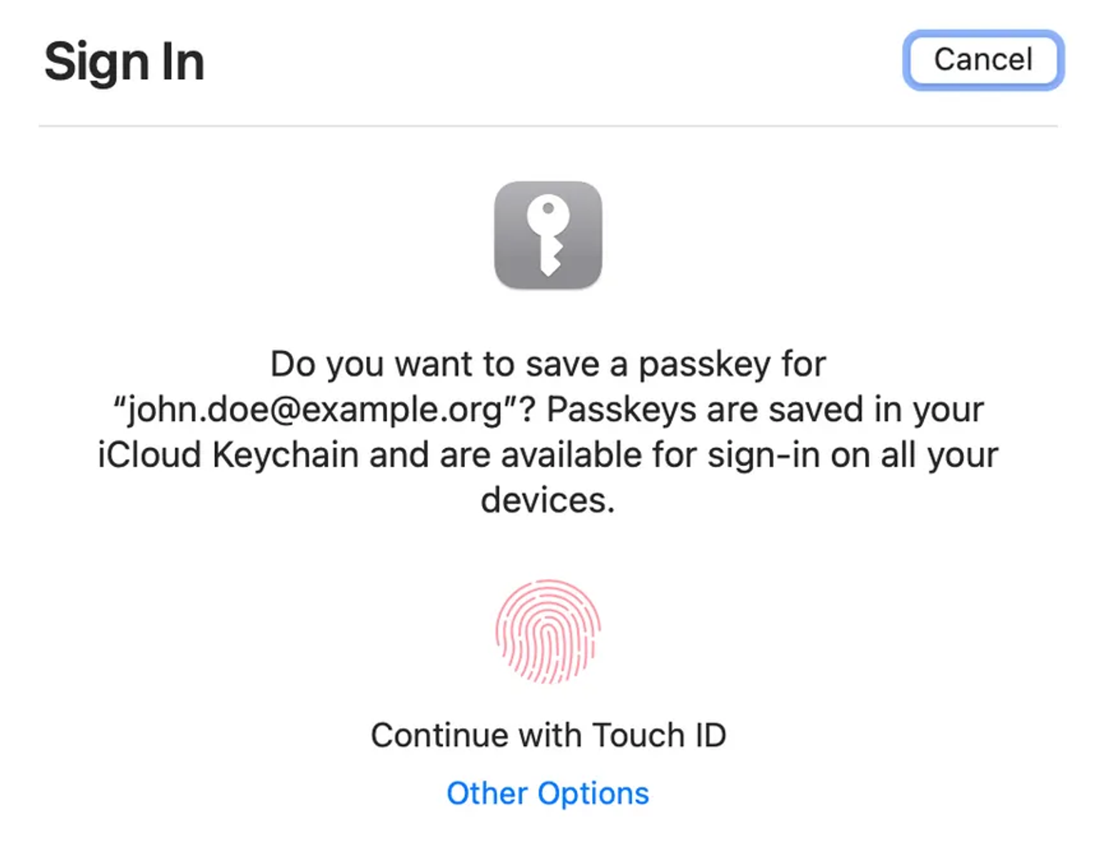 Create PassKey and verify it with TouchID