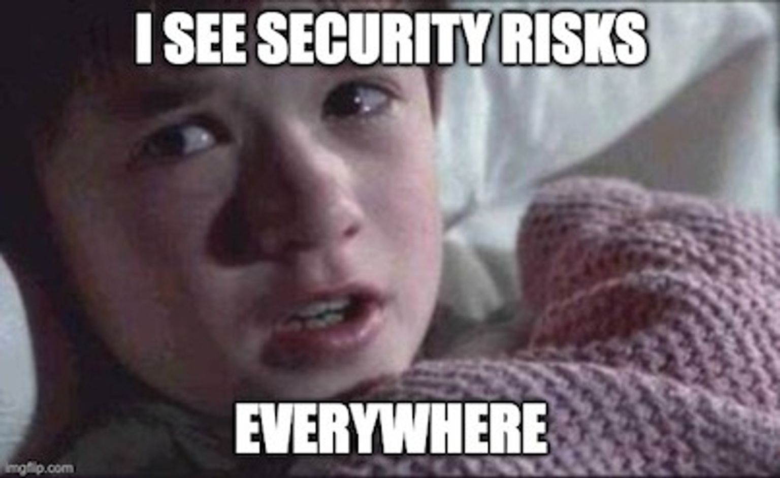 Security risks meme