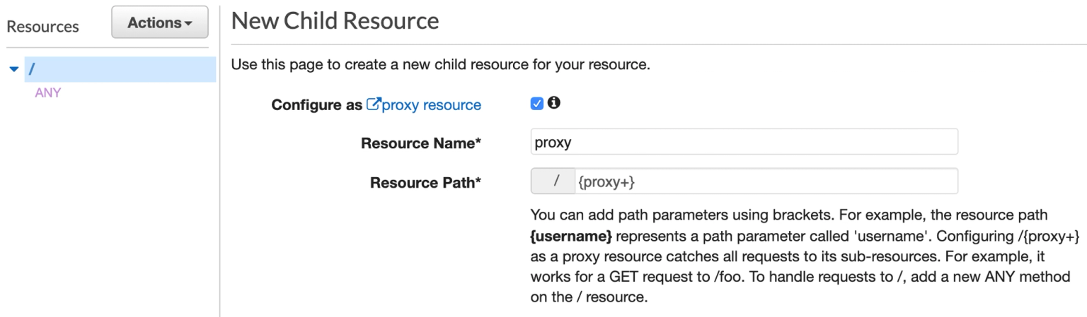 API Gateway catch-all