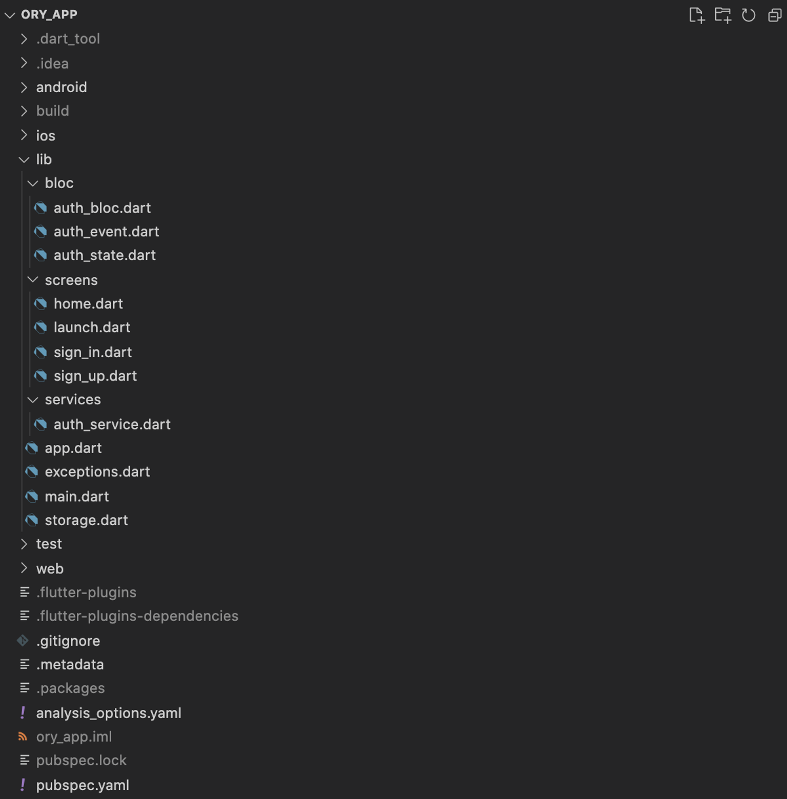 Flutter App Code Structure