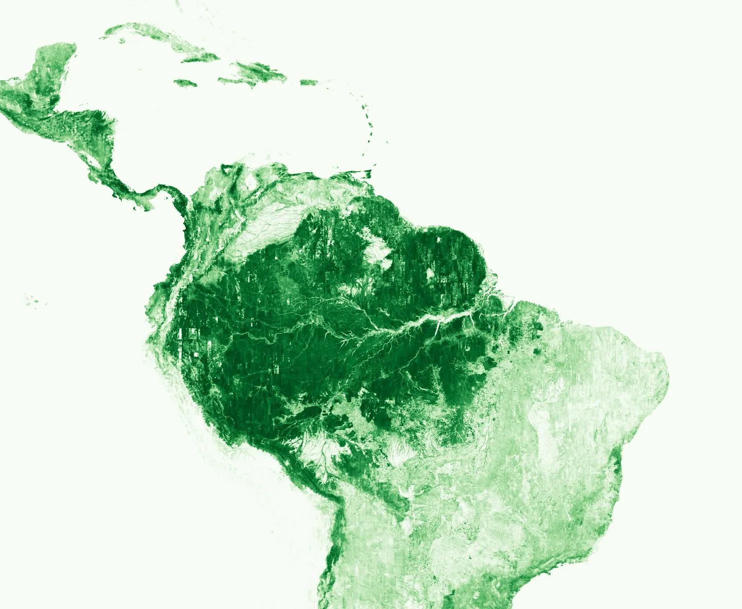 Global map of tree canopy height 