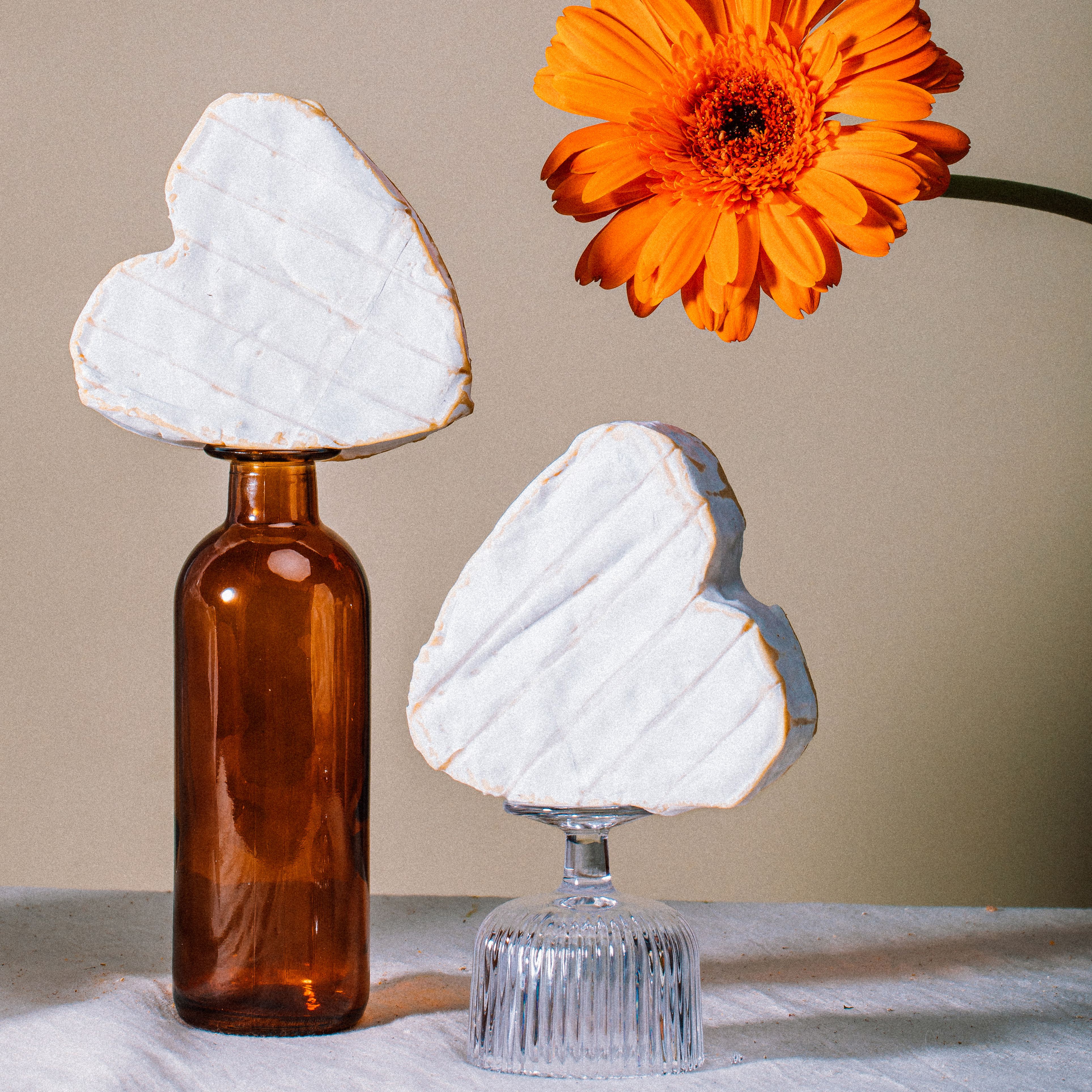 Photo fromages avec fleur | © Studio Cent-Huit 2025