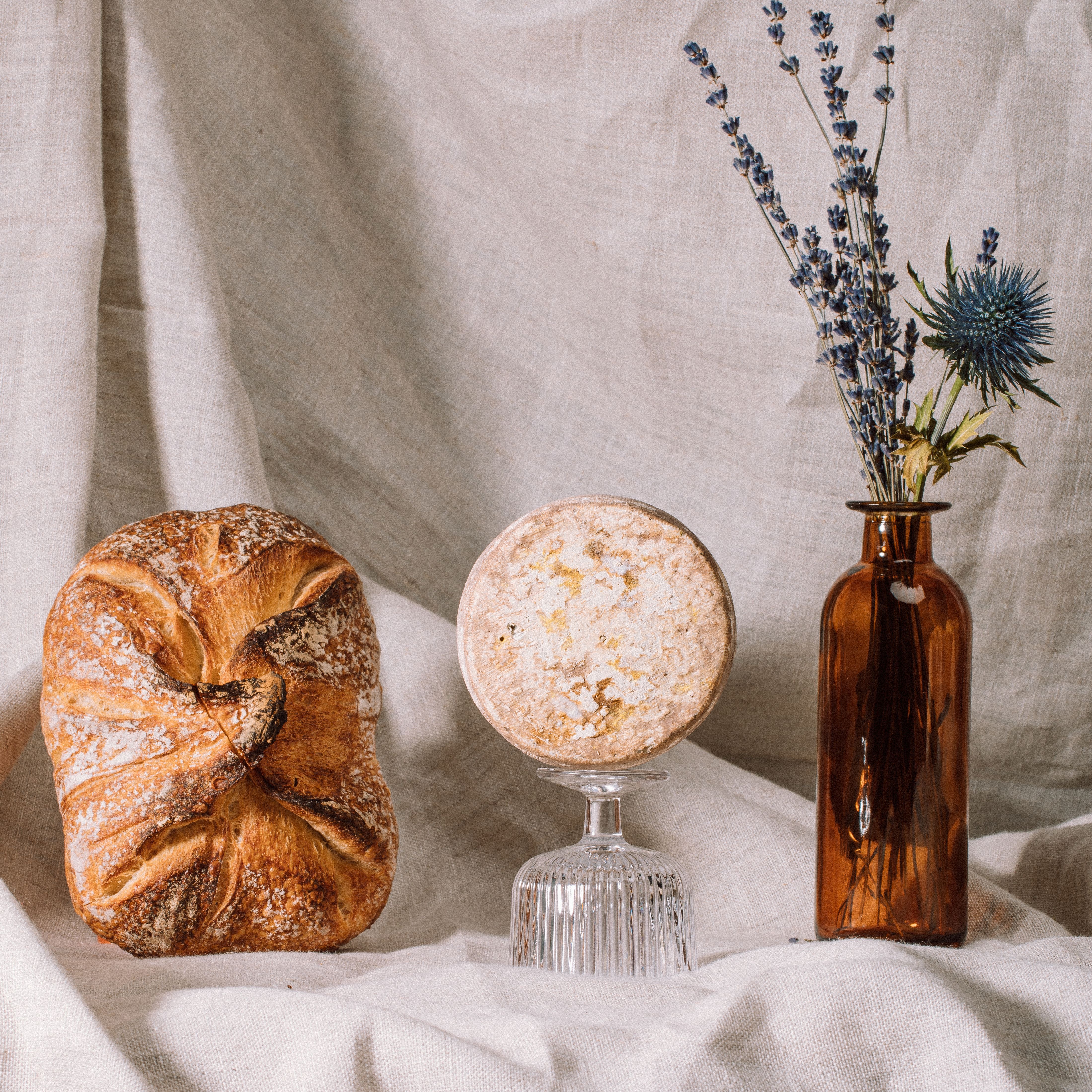 Photo fromage avec pain et fleurs | © Studio Cent-Huit 2025