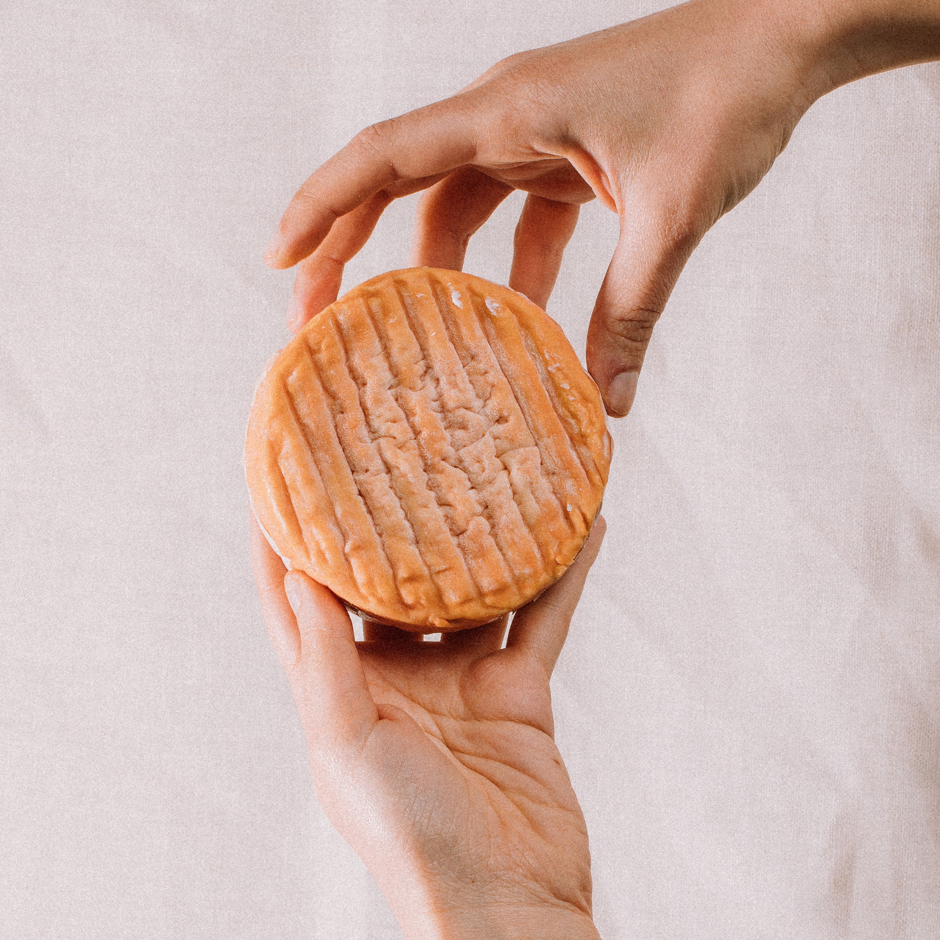Photo mains qui tiennent un fromage | © Studio Cent-Huit 2025