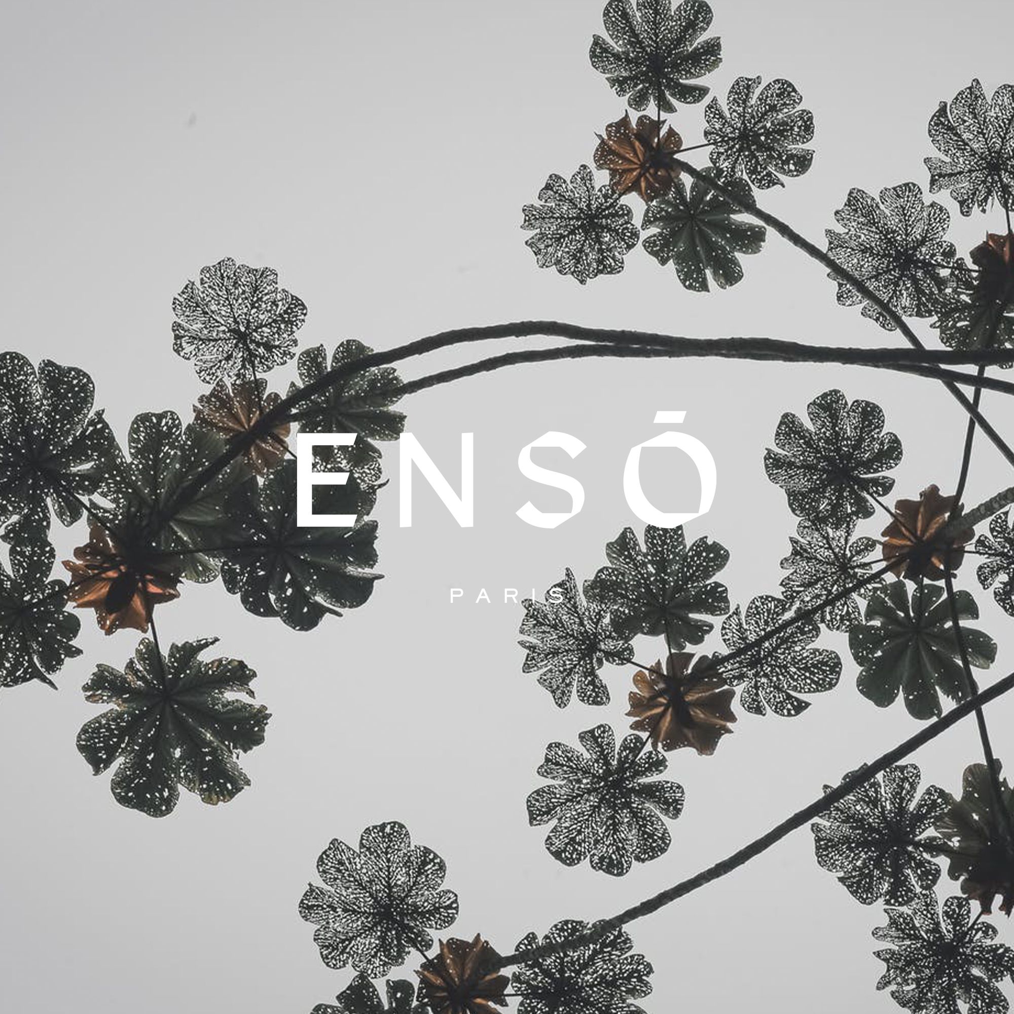 Logotype Enso avec feuilles et branches japonaises | © Studio Cent-Huit 2025
