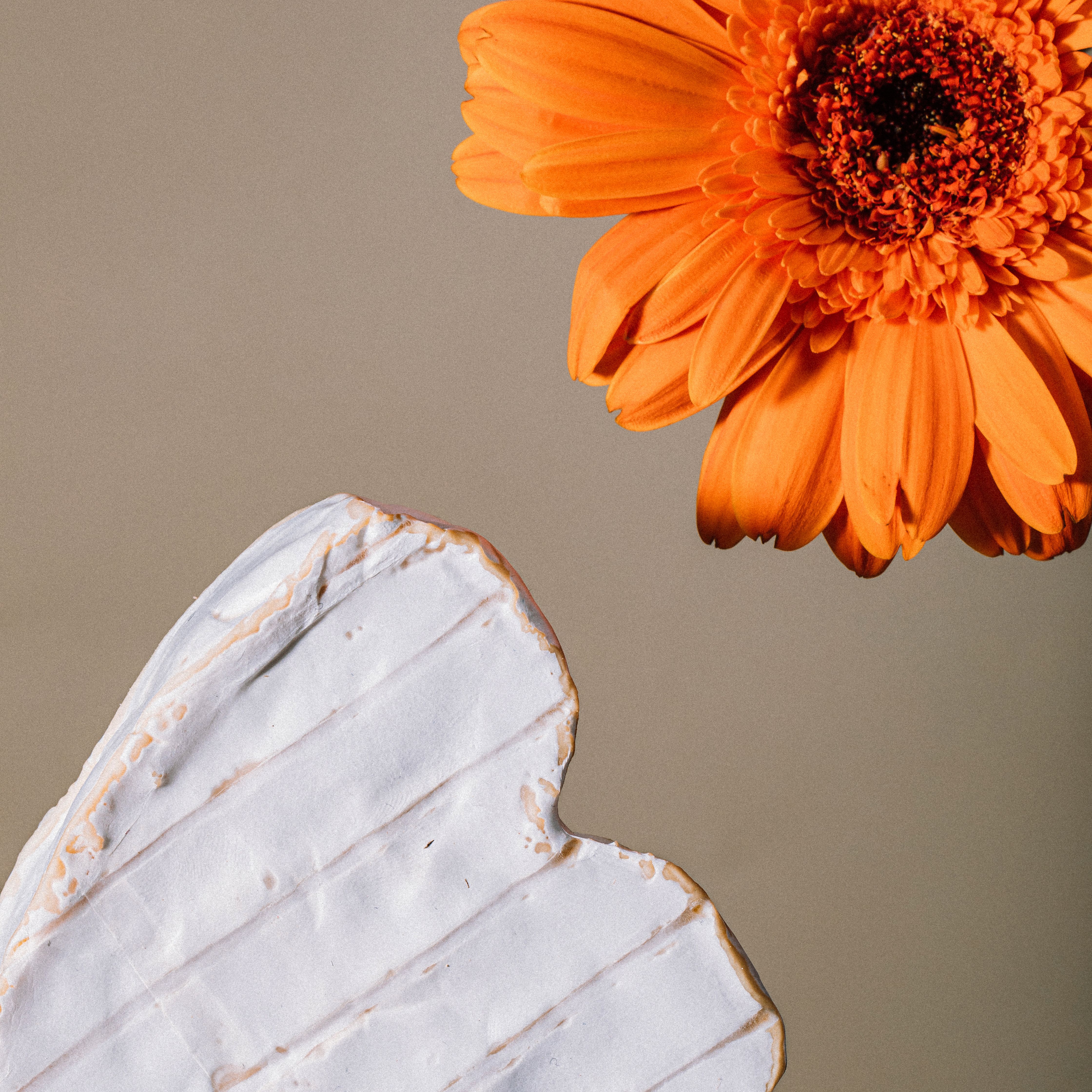 Photo fromage cœur et fleur | © Studio Cent-Huit 2025