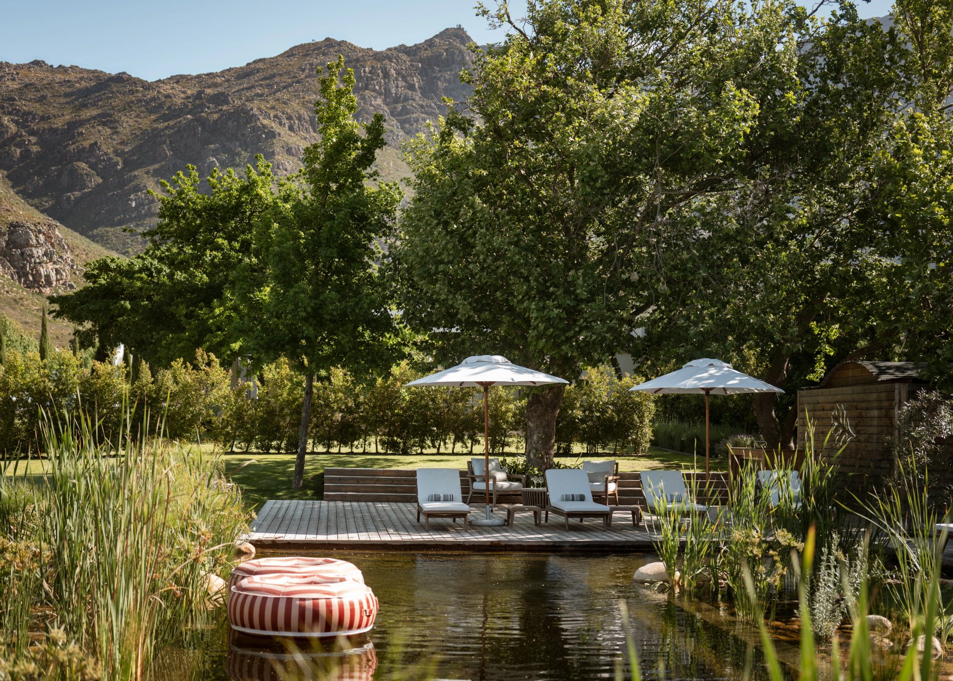 Natural pool and lounging deck