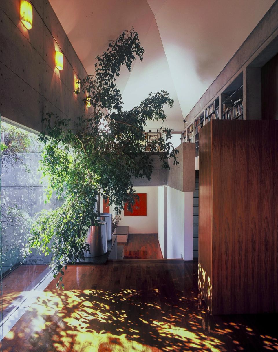 Espacio de doble altura con árbol interior y piso de madera