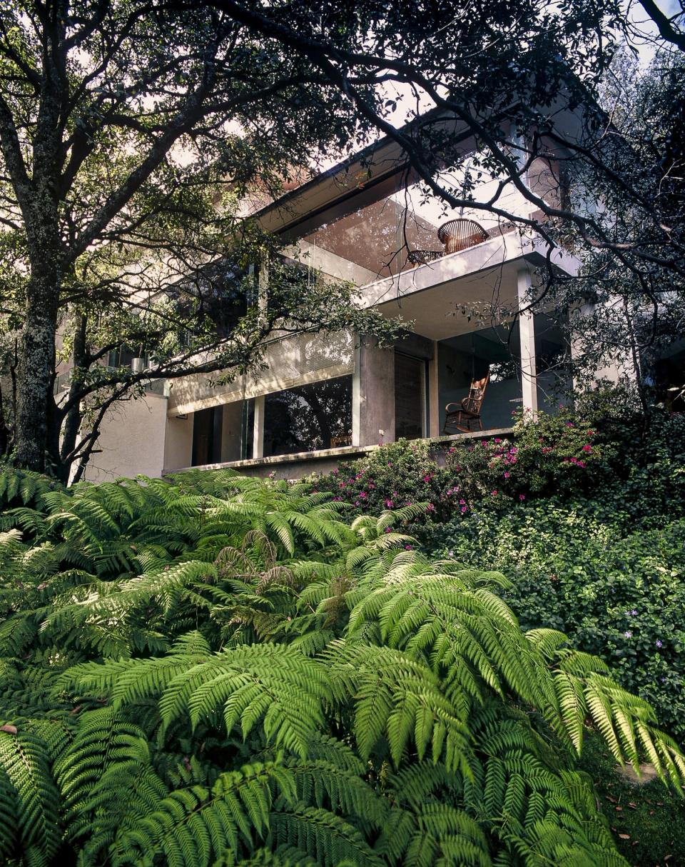 Fachada hacia el jardín con terrazas, ventanales y helechos
