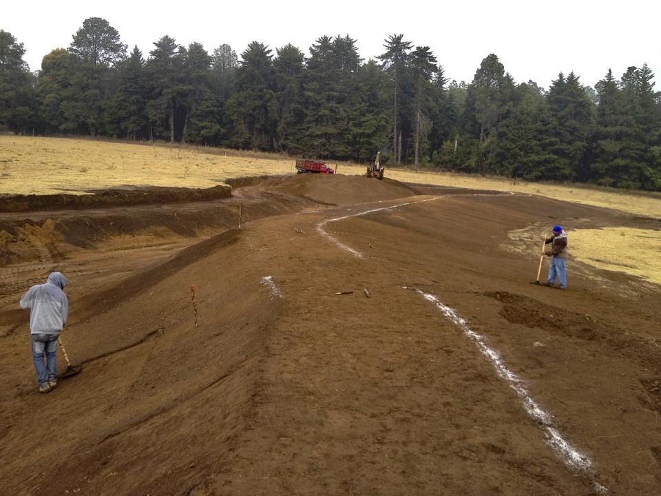 Trabajadores dando forma al terreno con el bosque al fondo