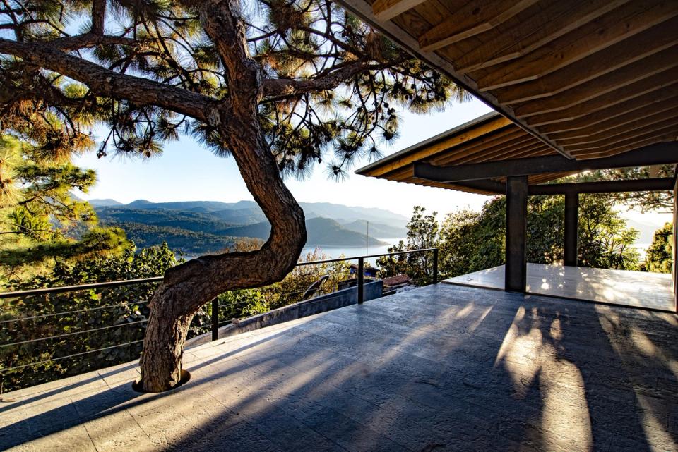 Terraza con pino y vista al lago