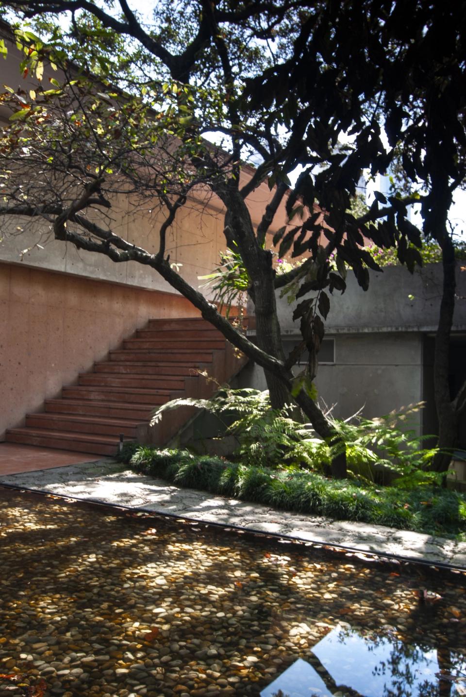Patio con árbol y escalera de concreto