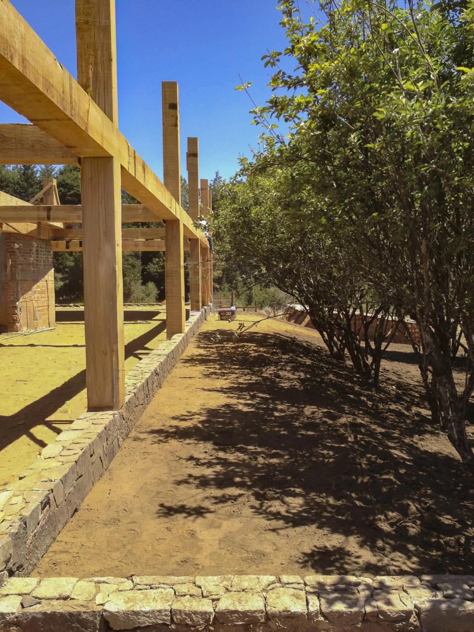 Estructura de madera junto a los árboles