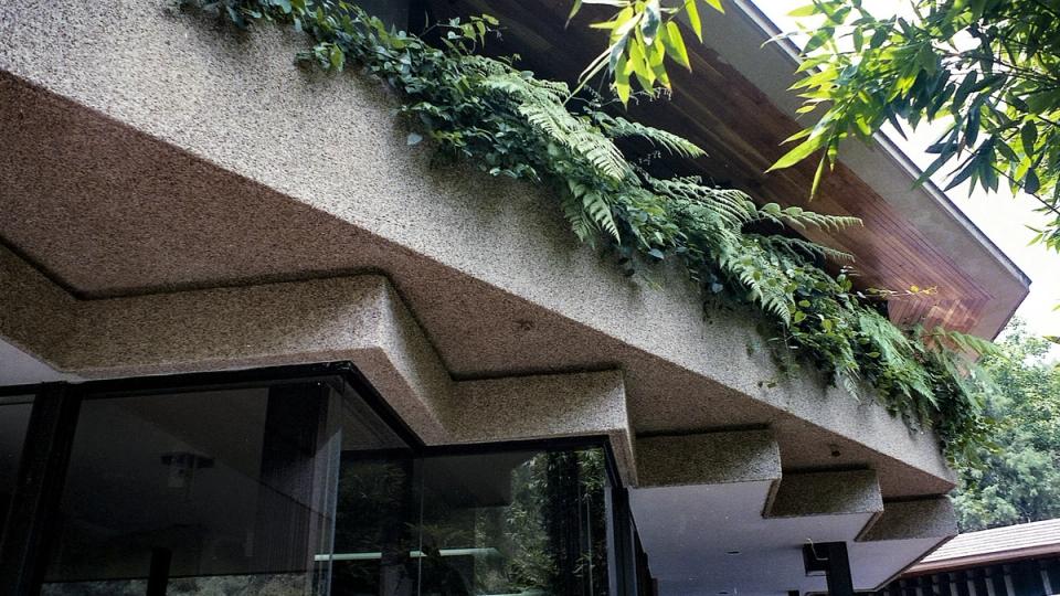 Alero de concreto con plantas colgantes sobre un ventanal