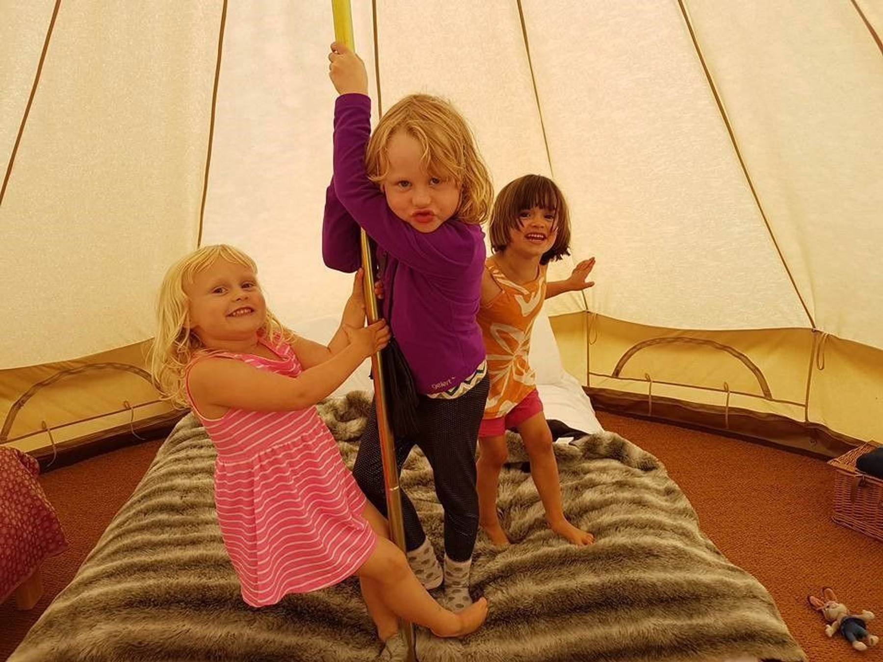 Greenhillock Glamping & Camping