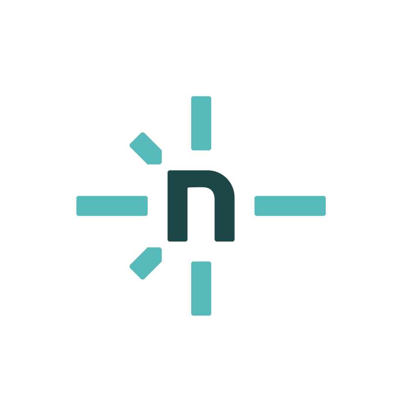 Netlify icon