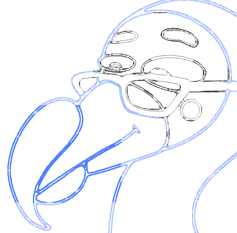 The outline with a fragment of Dodo bird head from the previous illustration