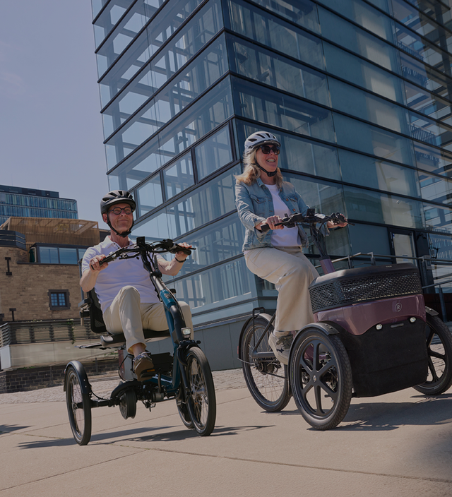 Transforming Van Raam with Speed and Multilingual Power