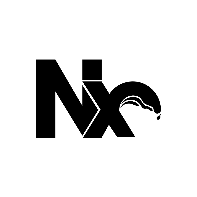 Nx icon