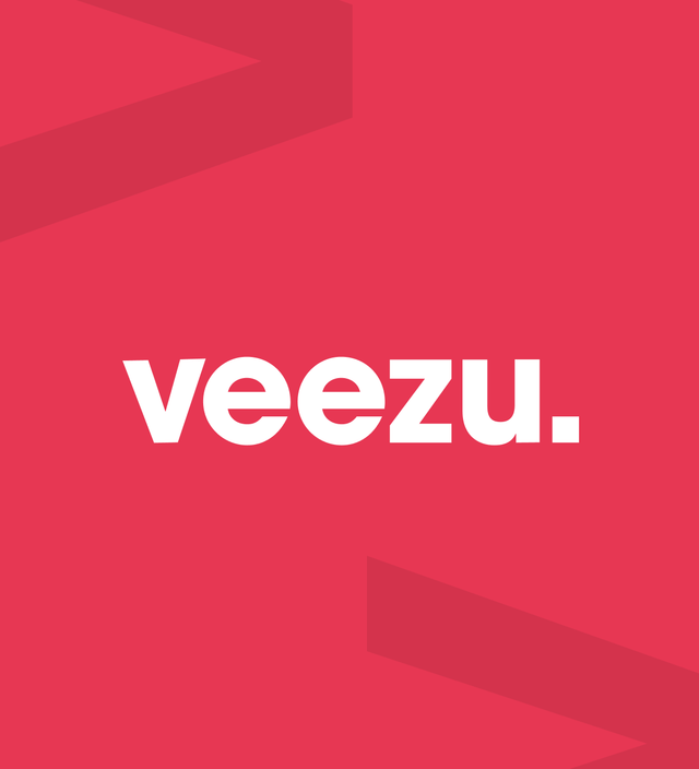 Elevating Veezu with Speed and SEO Boost