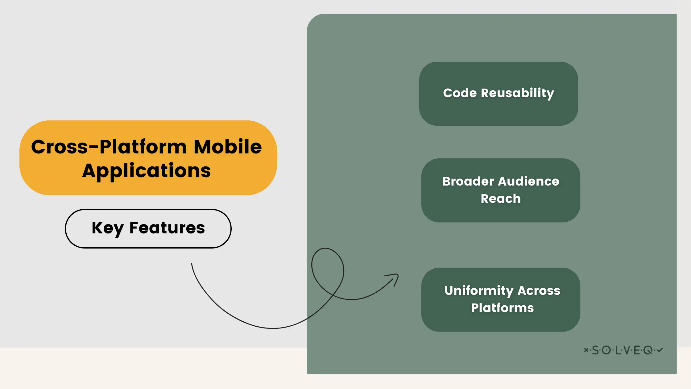 Cross-Platform Mobile Application: Key Features