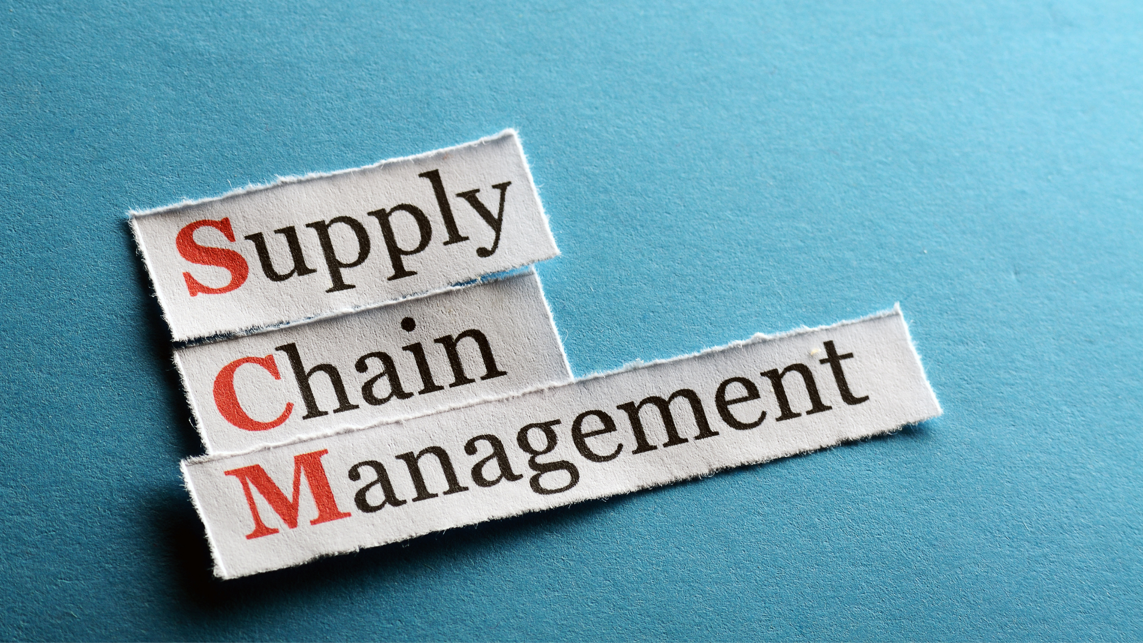 Top Supply Chain Management Solutions for 2024