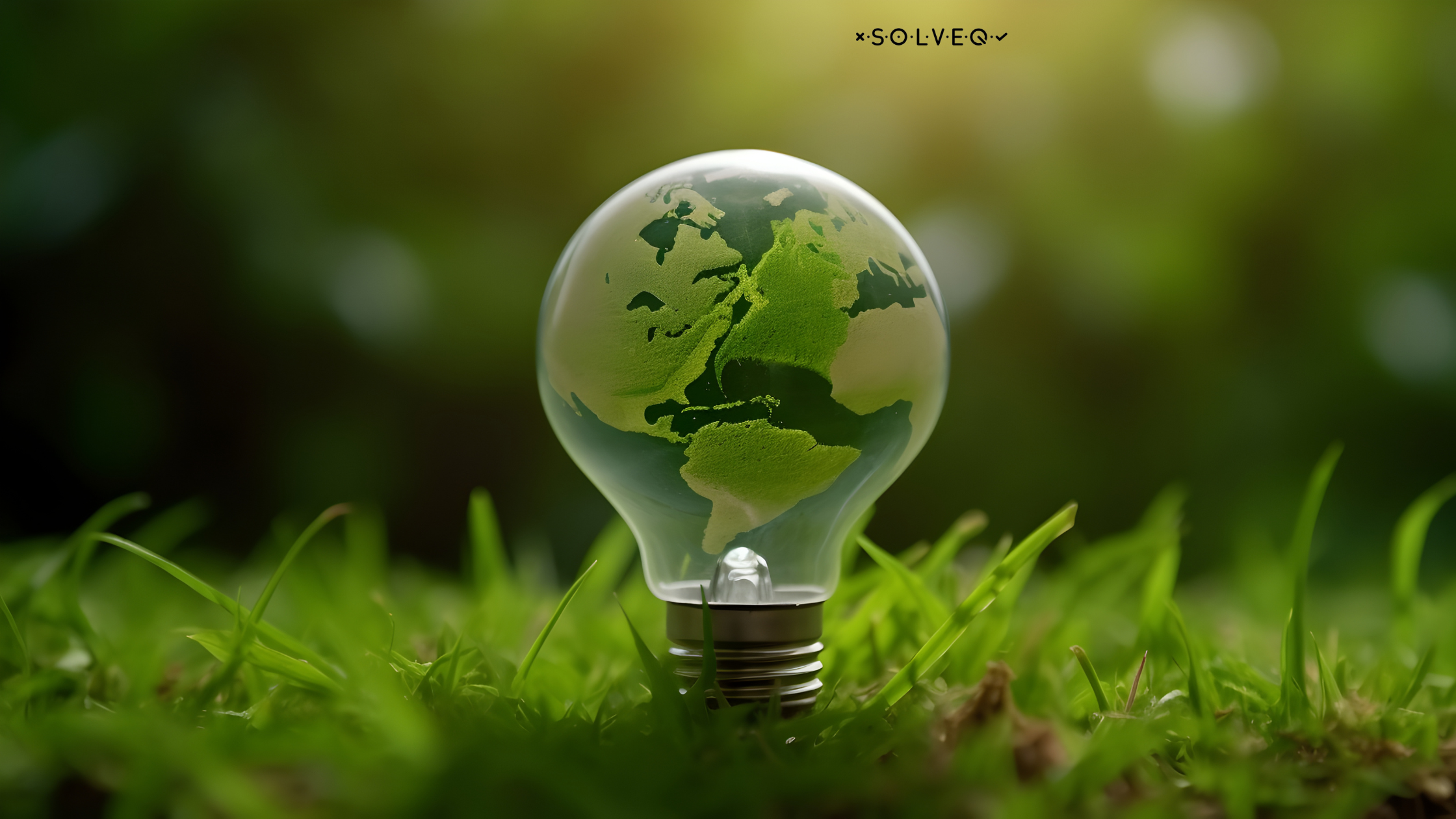 Streamline Your Sustainability Efforts in 2024: Top Environmental Management Solutions