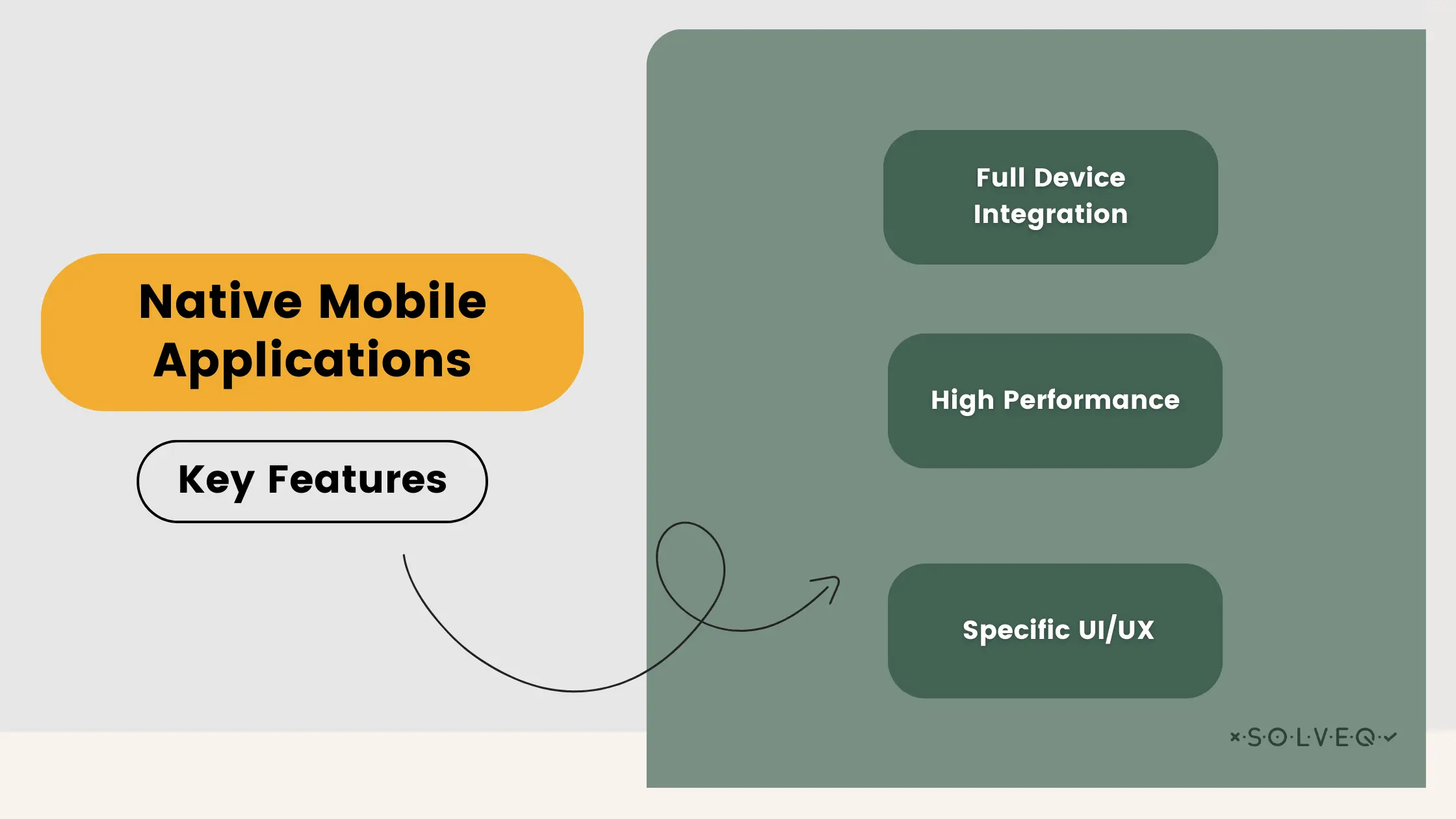 Native Moblie Applications: Key Features