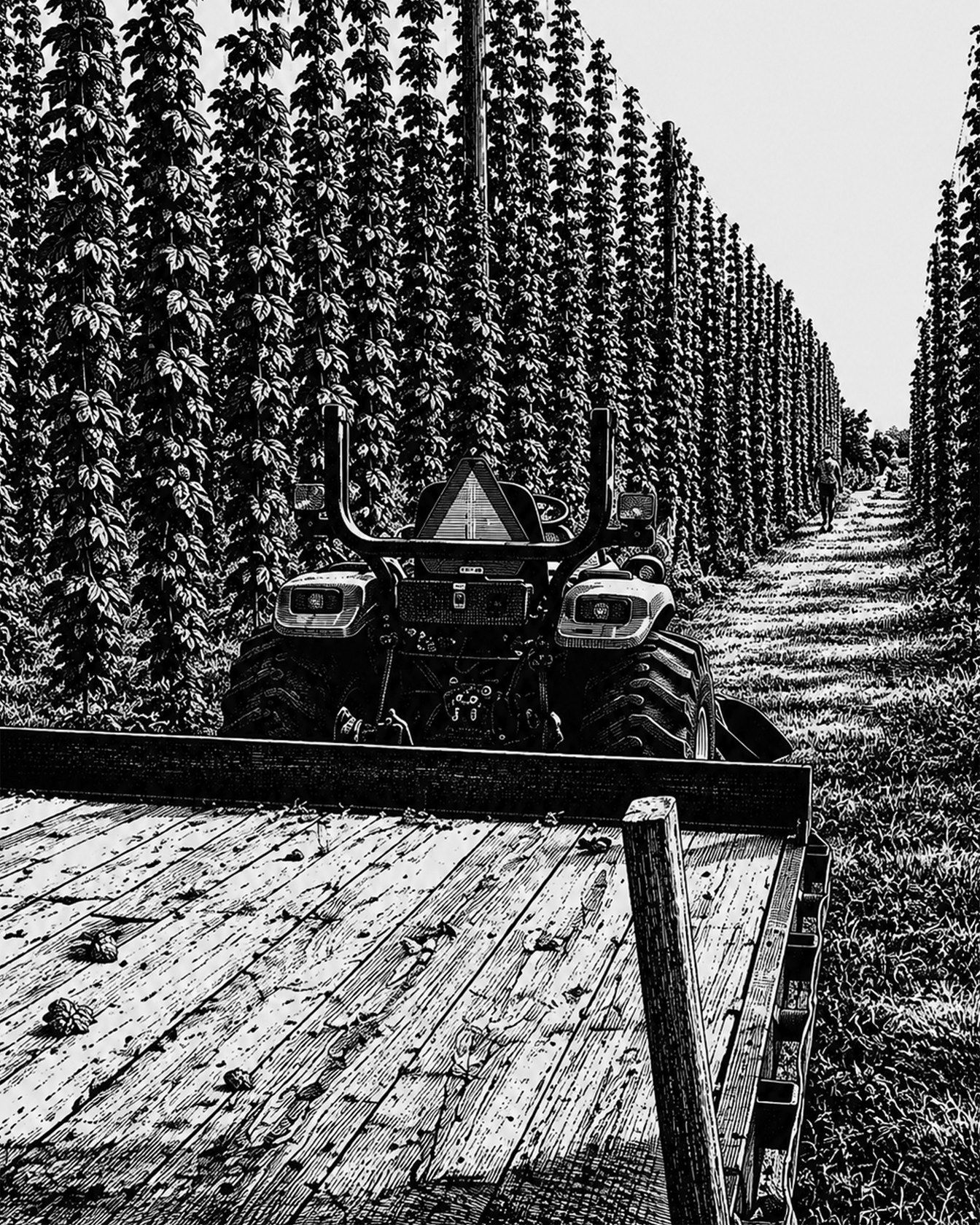 The hop yard engraved in black and white