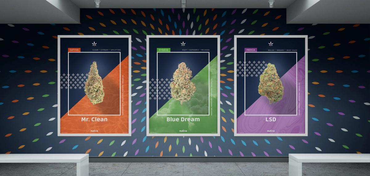 Three nuEra strain posters on a gallery wall