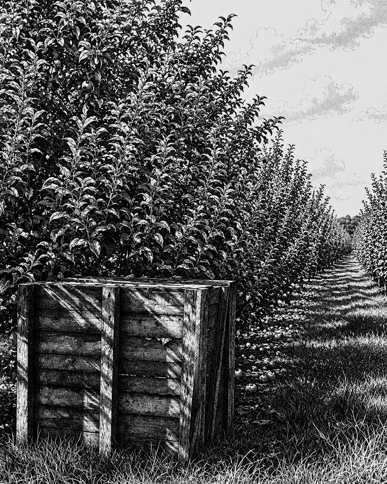 The orchard engraved in black and white
