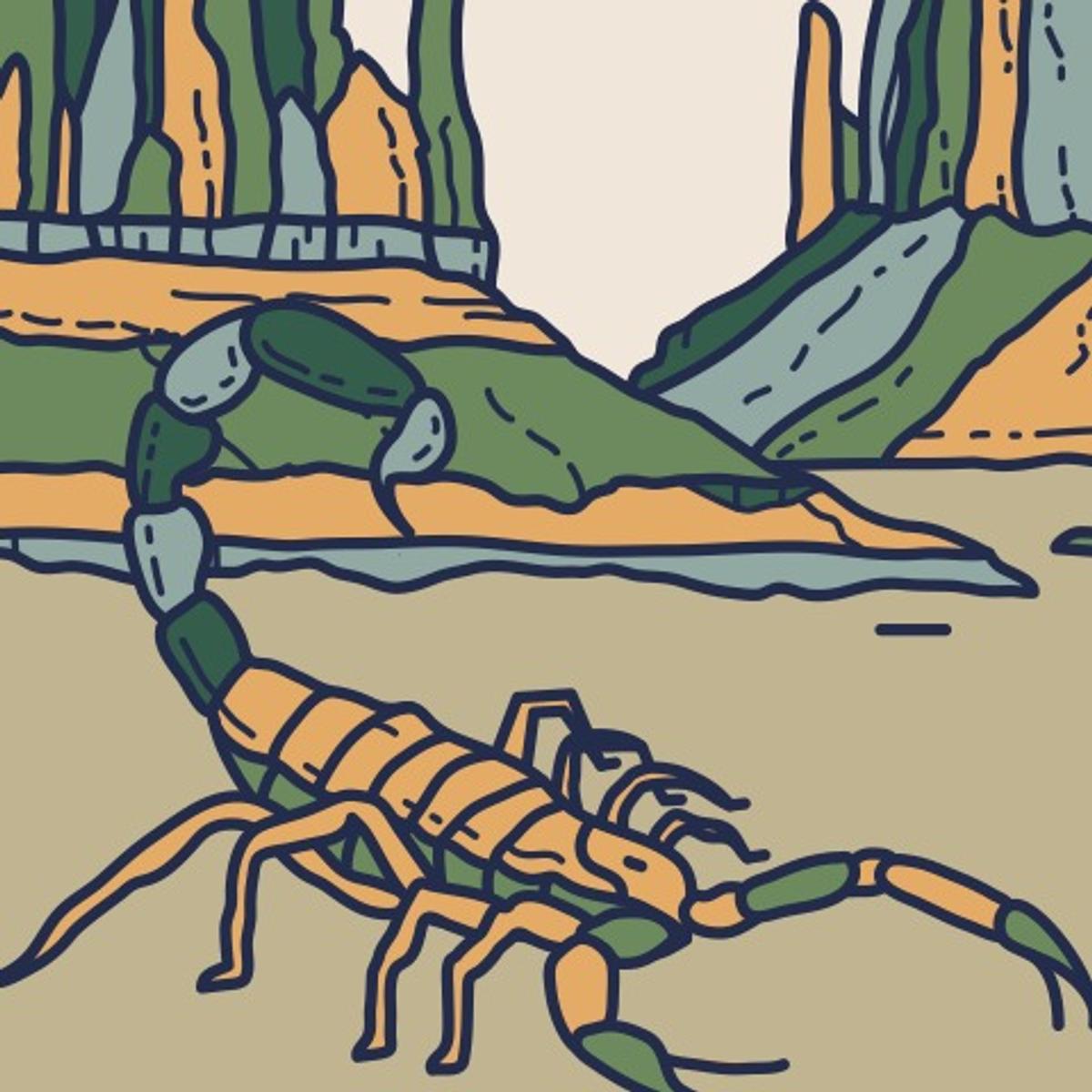 Arizona scorpion, detail