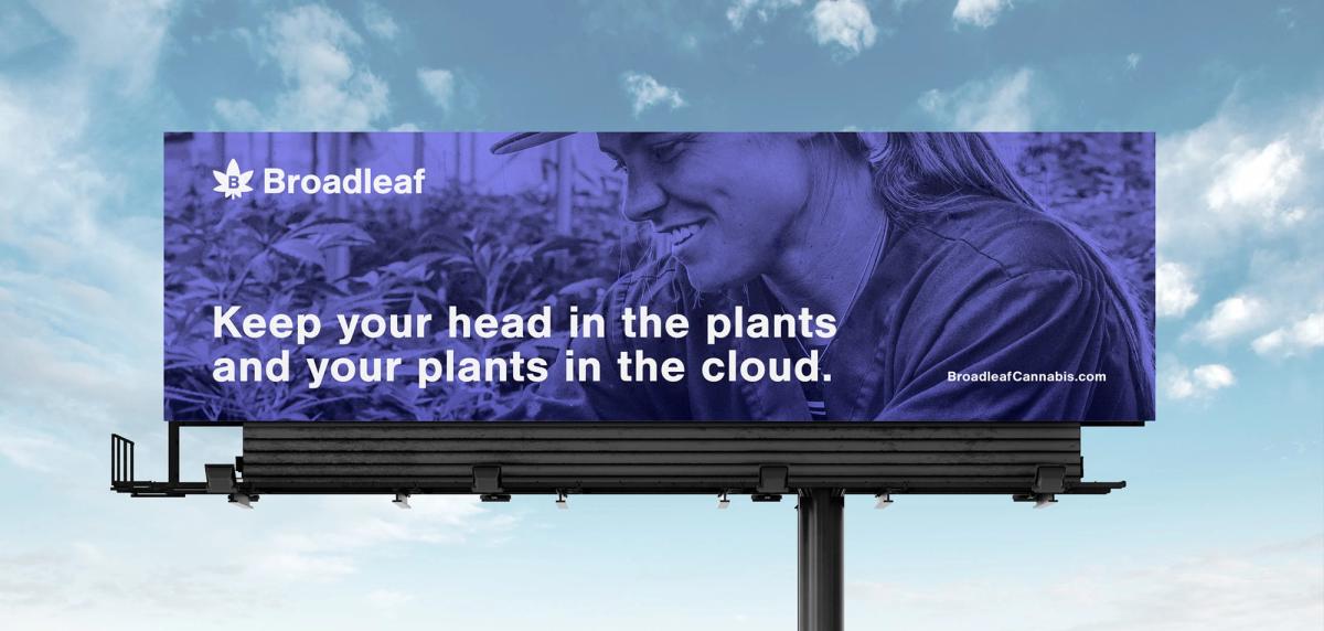 "Keep your head in the plants and your plants in the cloud." billboard