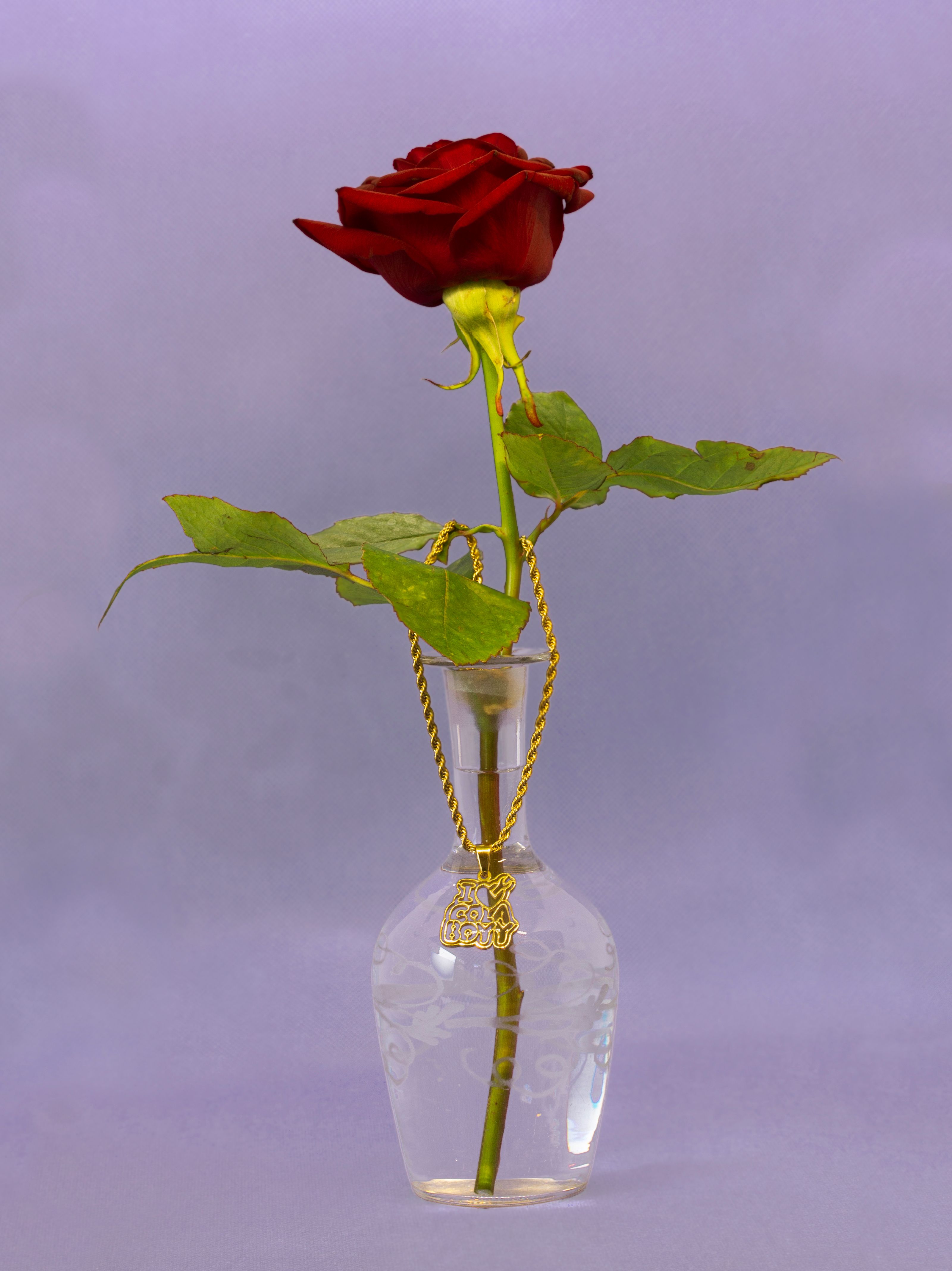 "I ♥️ Cola Boyy" necklace