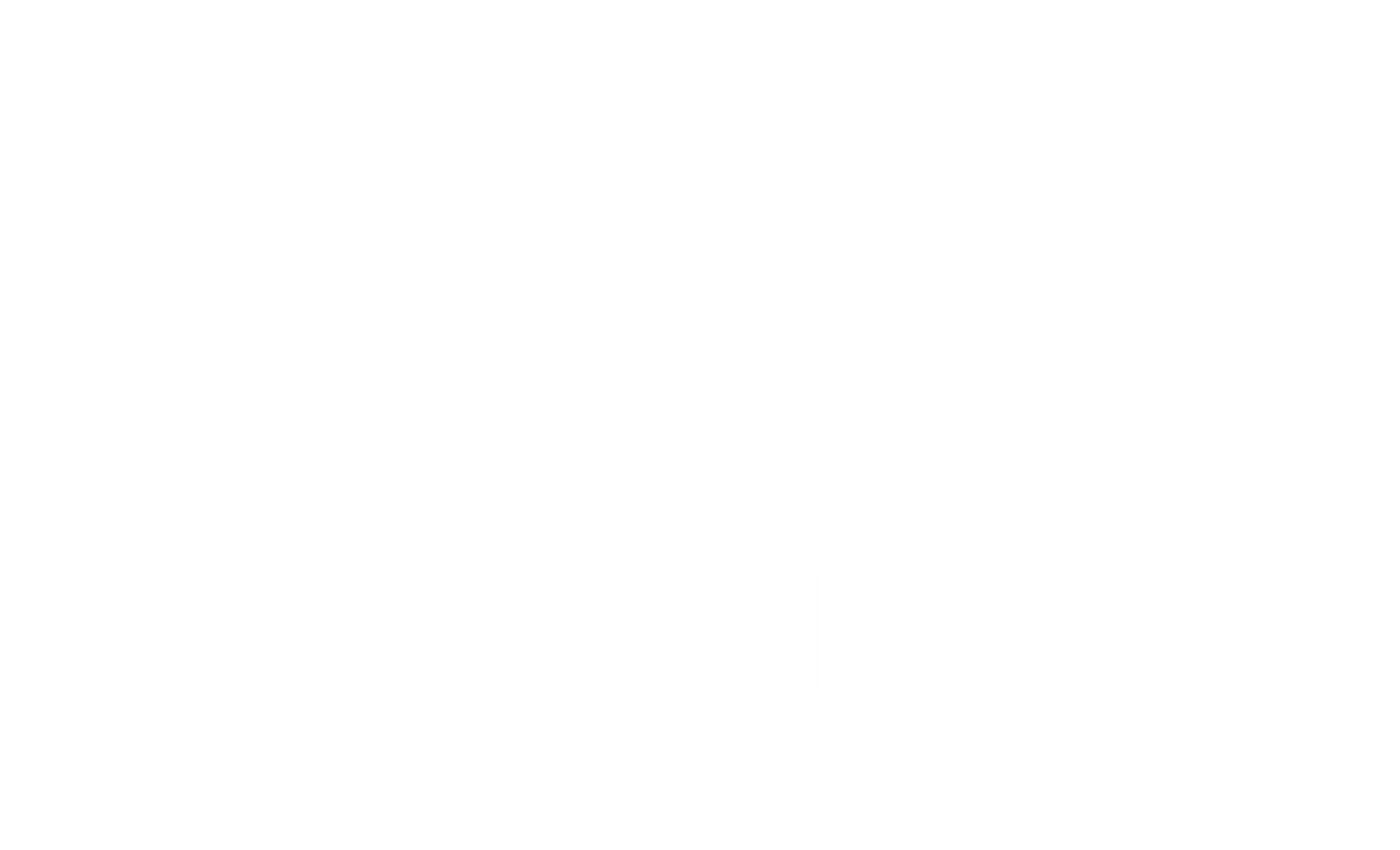 Invisibobble