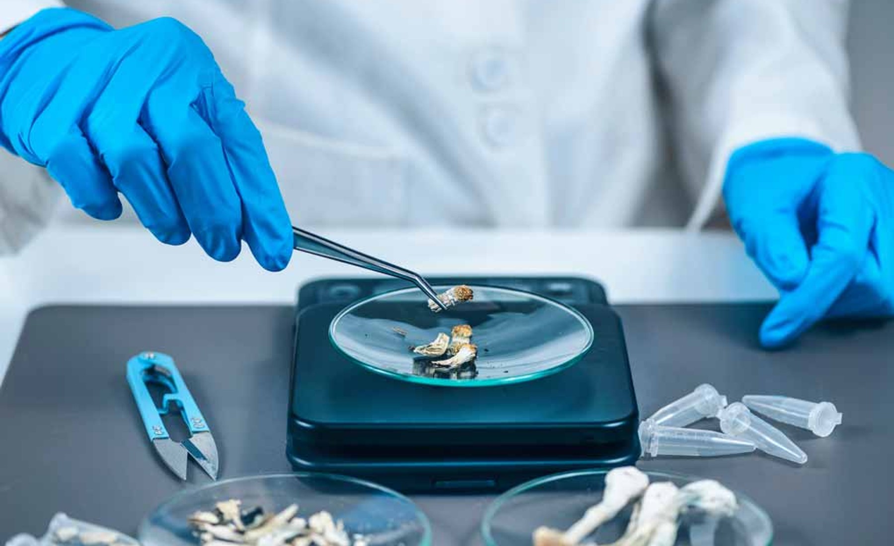 Psilocibina vs. depresión: ¿chocolate mágico o medicina seria?