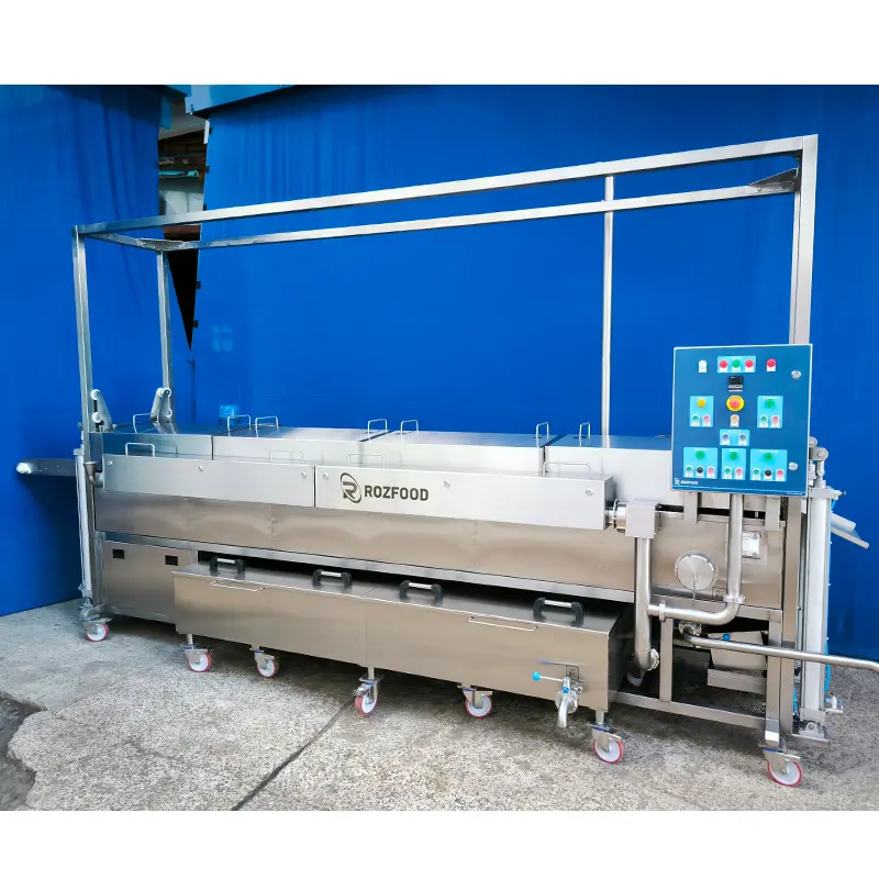 Industrial Conveyor Fryer for Sale in Canada and USA