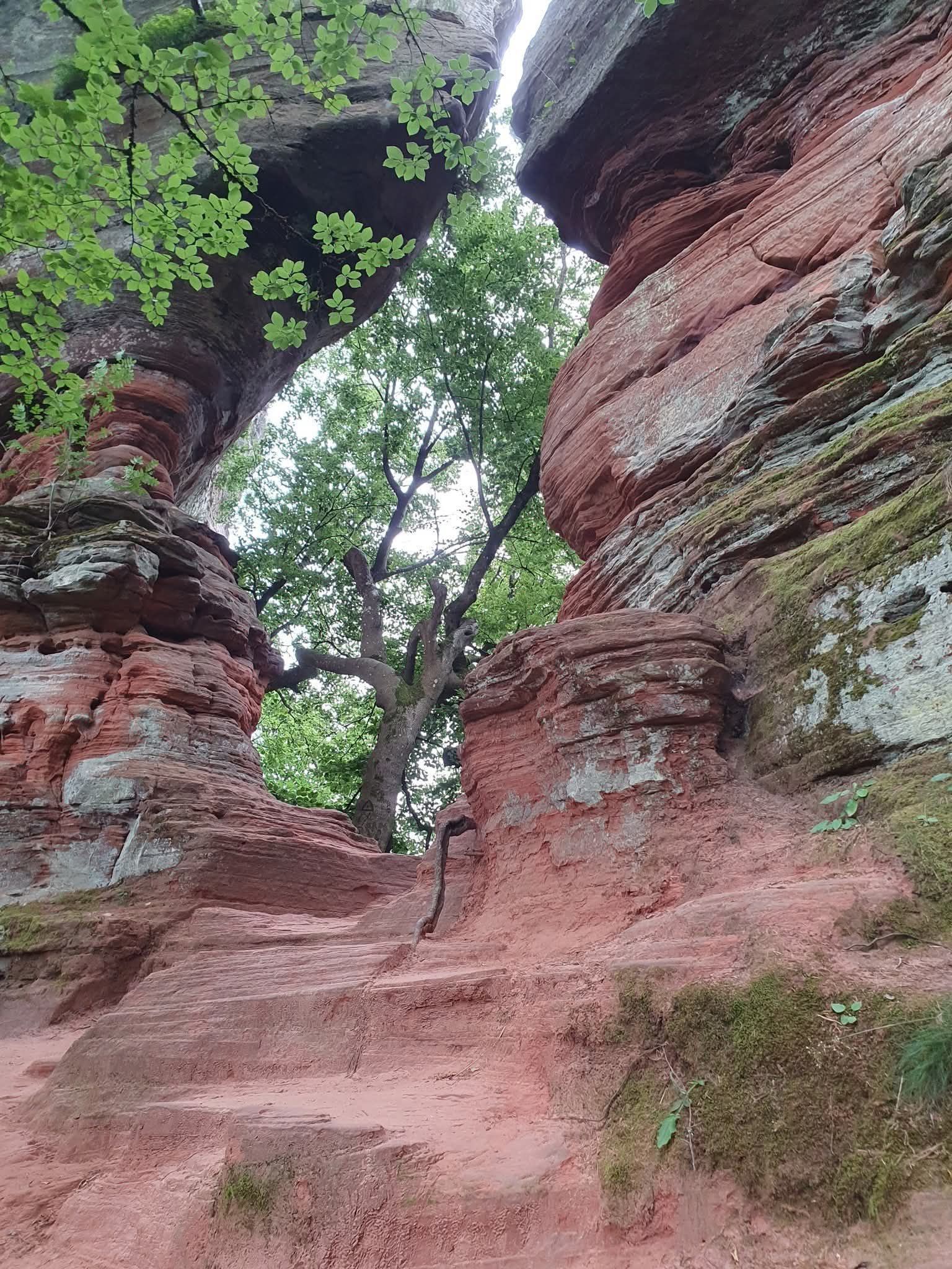 BITCHE, terre d'histoire et de traditions à 1h