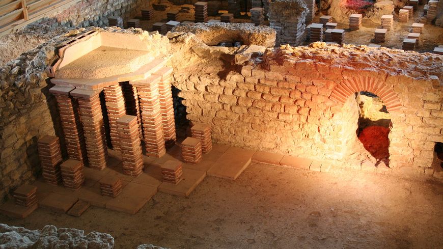 LE PARC ARCHEOLOGIQUE DE BLIESBRUCK/REINHEIM à 30min
