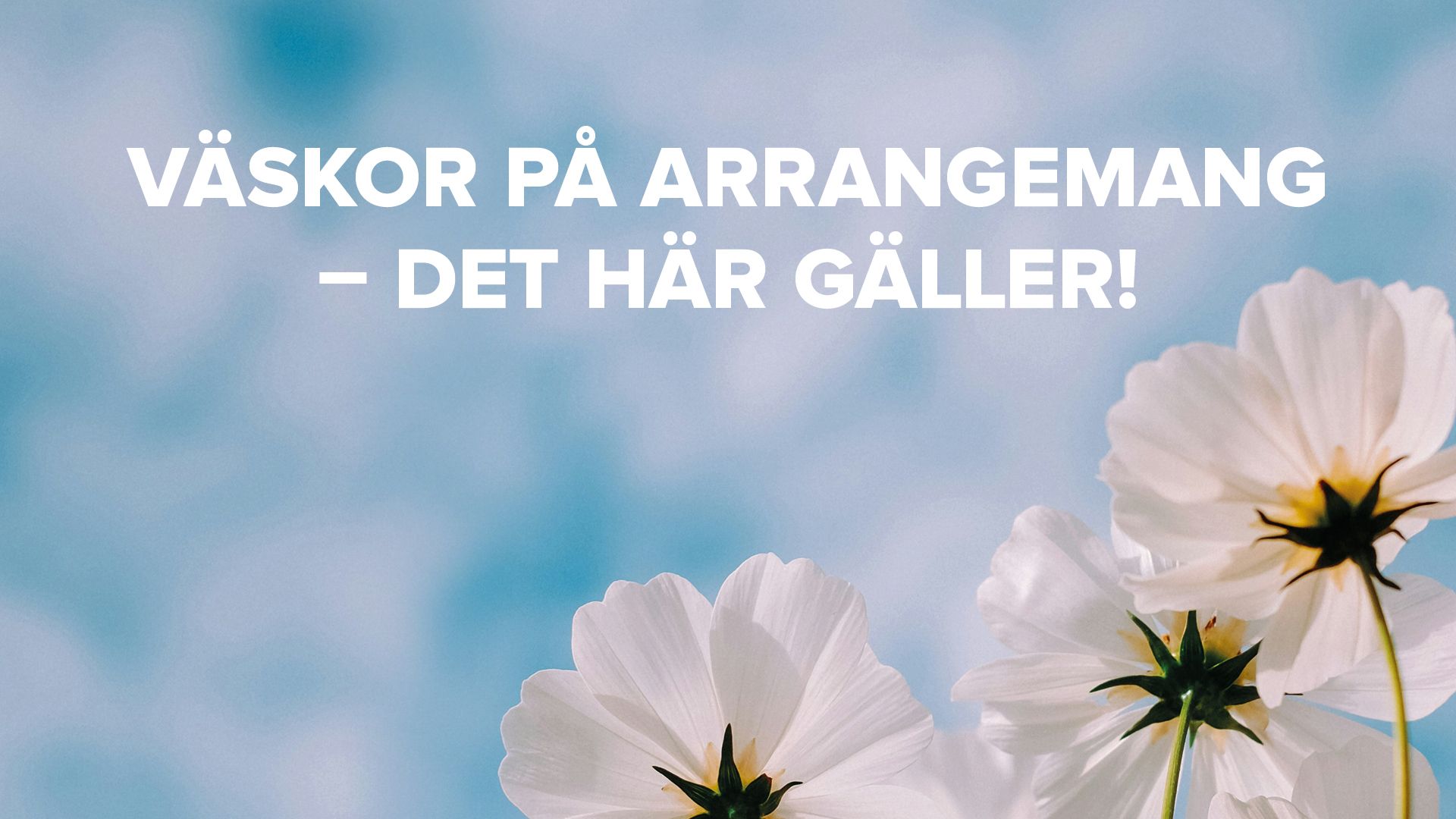 Väskor på arrangemang - det här gäller!