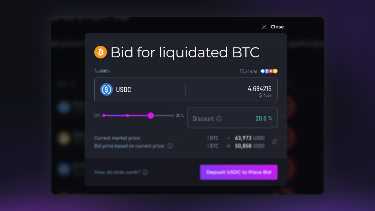 RUJI Liquidations bid dialog showing a USDC bid for liquidated BTC with a selected 20.5% discount.
