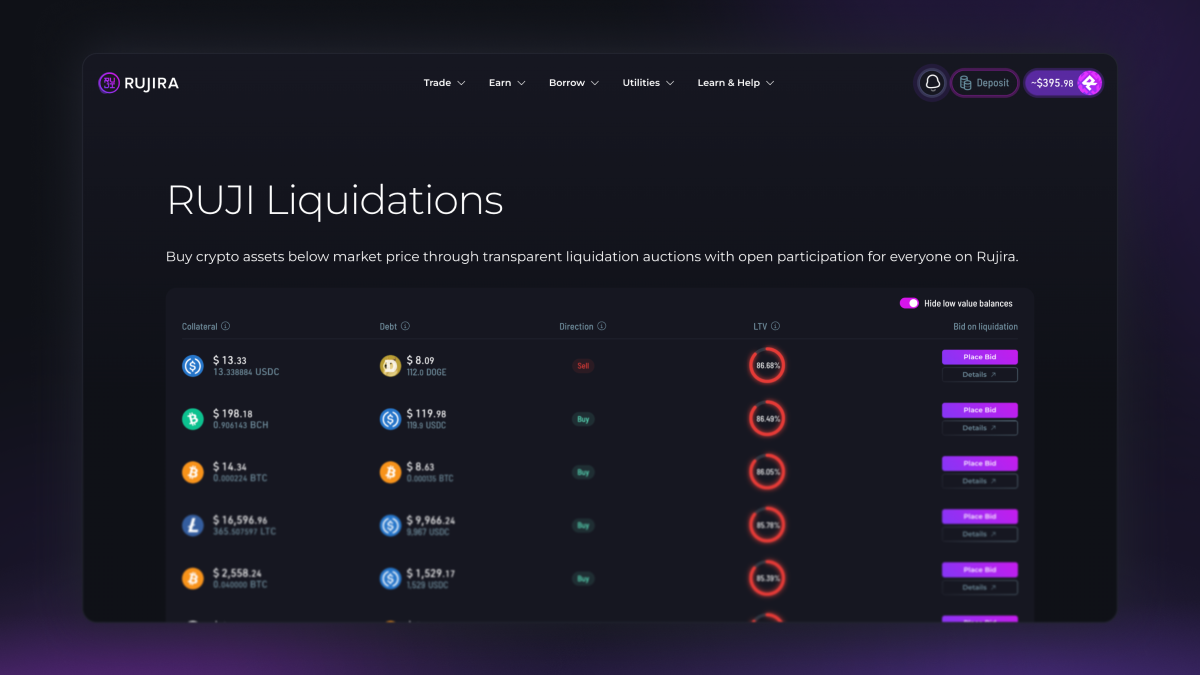 RUJI Liquidations market listing collateral and debt assets, auction direction, loan-to-value levels, and buttons for placing bids.