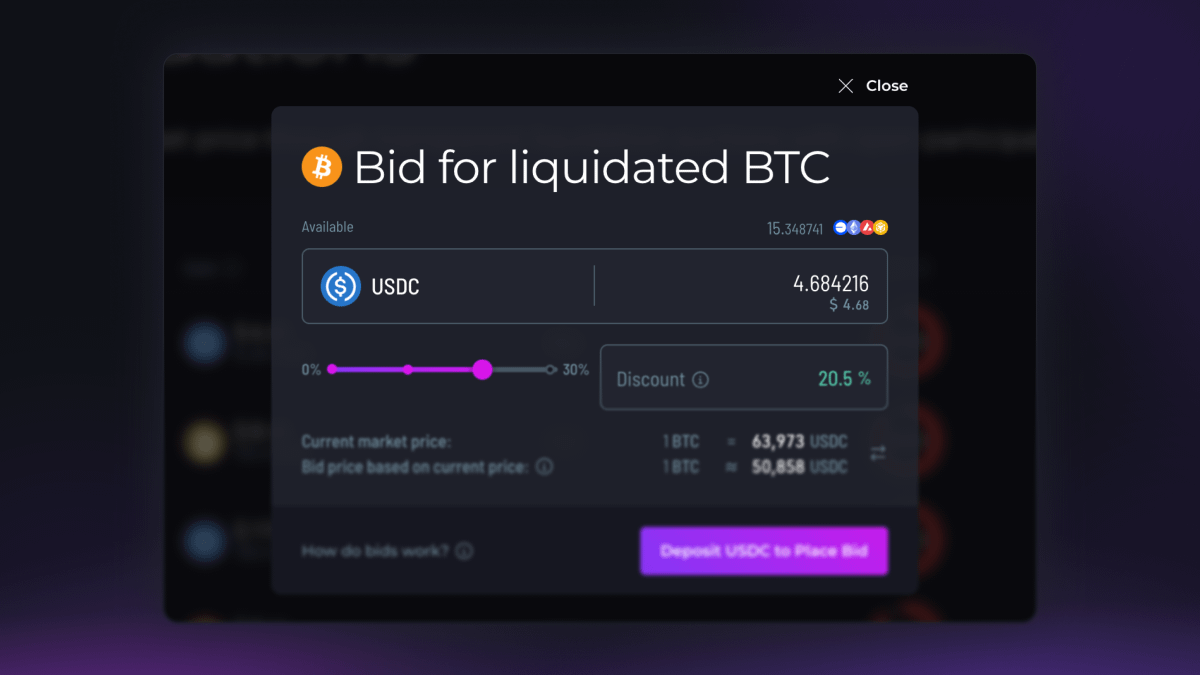 RUJI Liquidations lets anyone place discounted bids on at-risk collateral.