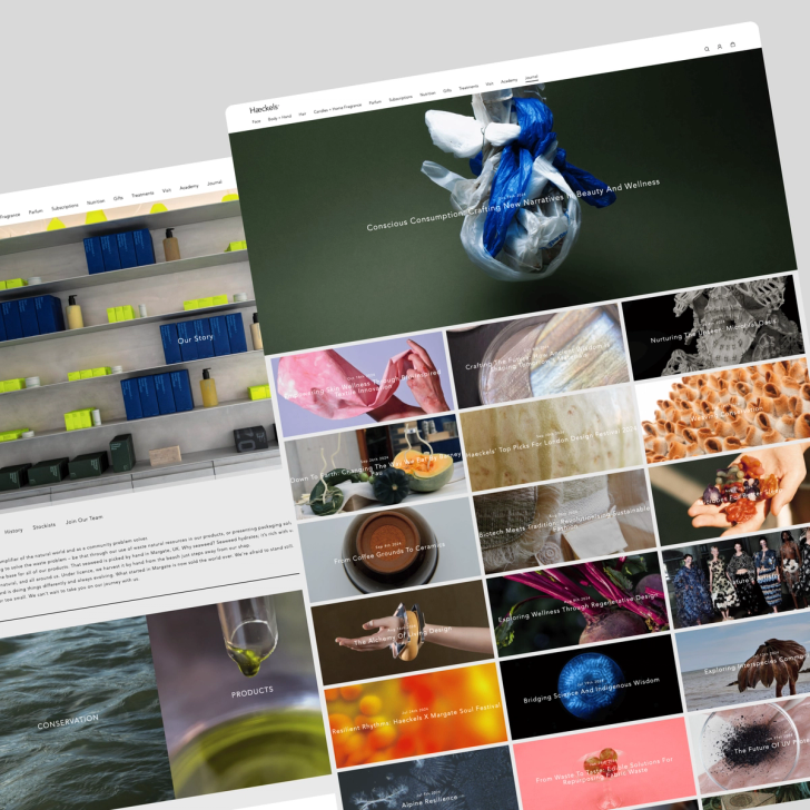 Haeckels.co.uk screenshot 2