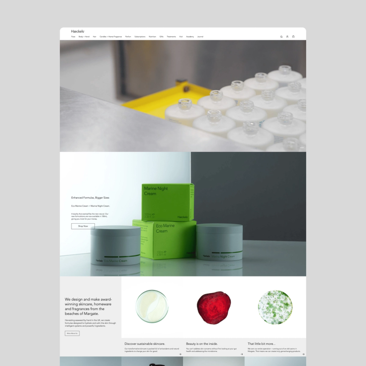 Haeckels.co.uk screenshot 1