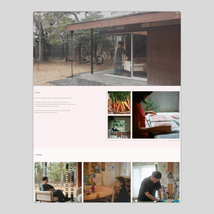 ReadAspect.com screenshot 1