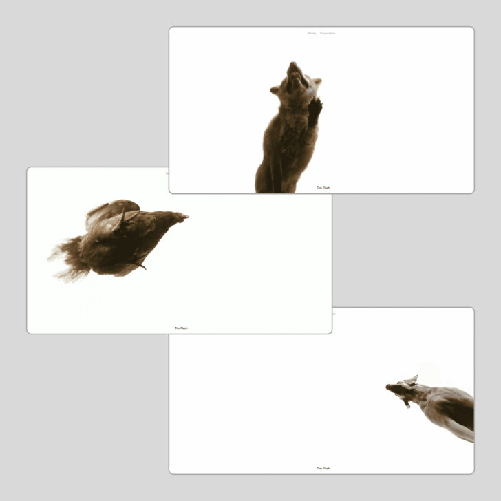 TimFlach.com screenshot 1