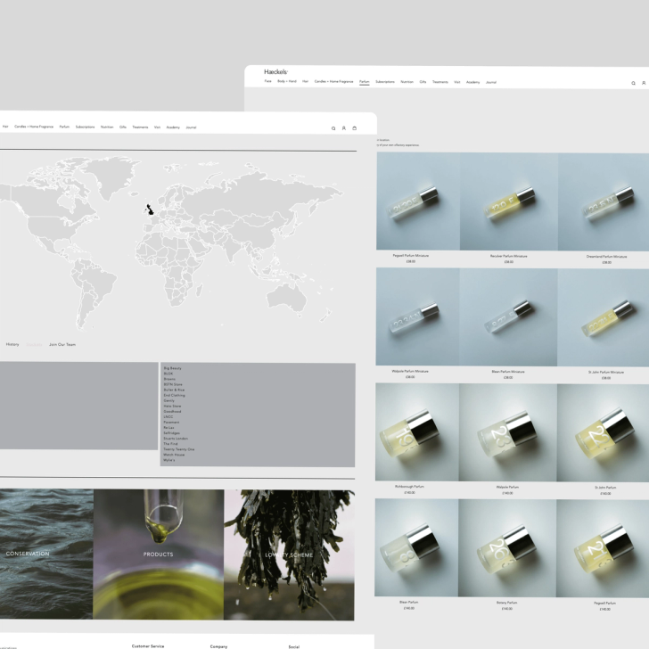 Haeckels.co.uk screenshot 4