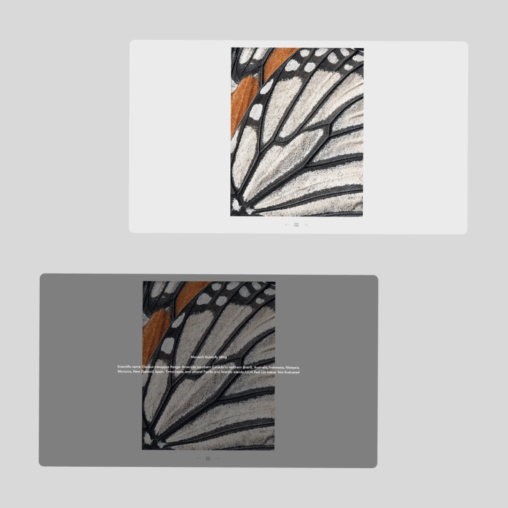 TimFlach.com screenshot 4